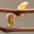 클래시스정신건강의학과의원 이미지