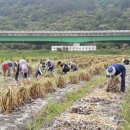 화산면사무소 이미지