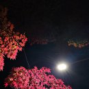 글쓰기의 첫걸음 이미지