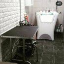 마마펫살롱 이미지