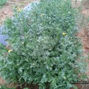 인영농장 이미지