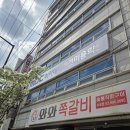 중앙 애견 미용실 | 애견미용학원 원데이클래스 셀프 강아지미용 정복하고 온 후기 (ft. 더펫코)