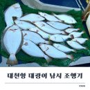 모텔제우스 | 대천항 출발 대광어 낚시 메이저호 조행기 feat. 외연도