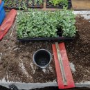 긴뿌리농장 이미지