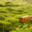 납부필증 이미지