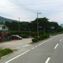 팔송정식당 네이버블로그