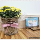 광주 첨단 가볼만 한 곳 건강한 삶을 추구하는 힐링 다해소 족욕 테마카페 이용후기, 추천!