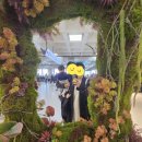 하영농장 | [제주여행] 돌아기랑 제주도 2박3일 3일차_하영칼국수, 고내리 입구, 제주공항