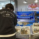 신우펜션민박 | 1000일 기념 강화도 1박2일 여행