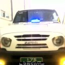 뉴골드(97) 이미지