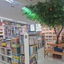 평촌도서관 앞 | 안양 평촌 스케치북 어린이서점 후기｜책육아 방향 잡아주는 곳 (3년째 이용 찐후기)