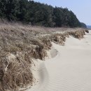 몽산포 해변 이미지