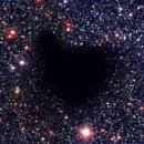 임현진 카카오 검색결과