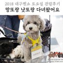 (주)애그리브랜드퓨리나코리아 | 2018 대구펫쇼 토요일 관람후기 : 망또랑 낫또랑 다녀왔어요