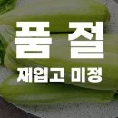 애호박 이미지