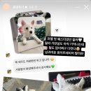 퍼피멜로디 이미지