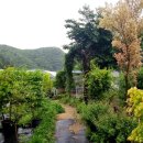 야생초농원 이미지