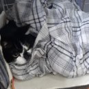 한마음종합동물병원 이미지