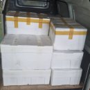 한국 막창 수출 후기 | 해외 식품 바이어와 함께한 K-FOOD 수출 이야기