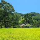 초간정화장실 이미지