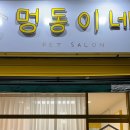 멍동이네 네이버블로그