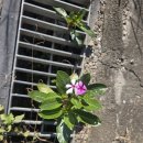 뉴아산모텔 이미지