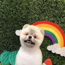 퐁키살롱 이미지