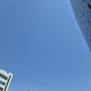 에스에이치컴퓨터 | 촉촉한 수분 로션을 바르 듯 가볍게~ but 놀라운 차단력과 자생력 강화 성분까지 득뿍 담은 아오와 인텐...