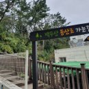 대동면행정복지센터 화장실 이미지