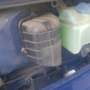 진아카센타 이미지