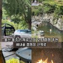 수복캠핑장 | 울산 배내골 캠핑장 산책로 울주군 깔끔한 가을 오토캠핑 계곡 근처 위치