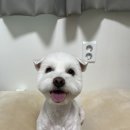 견생묭실 이미지