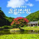 산수임목 | 진도가볼만한곳 운림산방 그리고 소치 허련과 후손 전시관