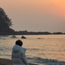 회품달생선구이