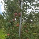 이현농장 이미지