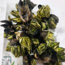 울엄마식당 이미지