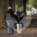 올댓시니어스 이미지