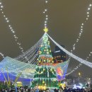 4일 DAY2 | 흥륭거 | 소류구 스노쿨링 거북이 | 동강수산시장 | 중앙공원 | 리우허야시장 | 가오슝 마사지