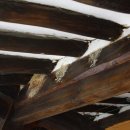 놀부네집 이미지