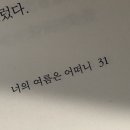 조은게마씸 | 여름 제주와 최근 근황 🧞‍♂️