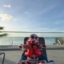 부어치킨,피자투어(대방동) | 데이, 두짓타니&amp;두짓비치 수영장 후기/두짓타니 조식/캘리포니아피자치킨/티갤러리아/스투시/괌공항맛집...