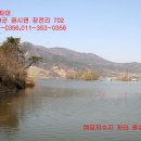 광시면011 Daum카페