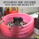 비디오편의점 | 비디오테이프 변환업체 &#39;인트로필름&#39; 내돈내산 후기 - 가격 /예약방법 / 소요시간