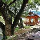 호성계곡 이미지