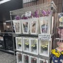 [안국역] 내돈내산 안국역 꽃다발 & 꽃집 가격 '스위트드림플라워'