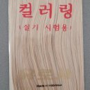 헤어위그 이미지