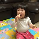 진터식품