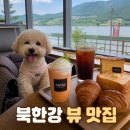 가평애견카페리버뷰펜션 | 남이섬 스윙카페 애견동반 리버뷰 후기 및 메뉴 총정리