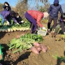 송파농장 이미지