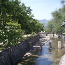 덩쿨여관 이미지